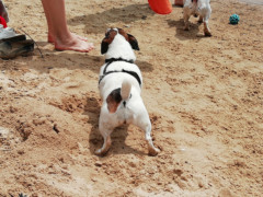 IMG 20180708 113927