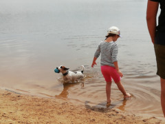 IMG 20180708 113942