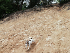IMG 20180708 114349