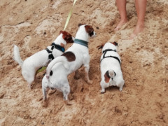 IMG 20180708 114655