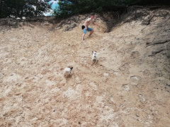 IMG 20180708 121313