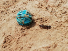 IMG 20180708 122800