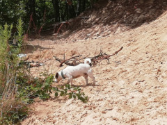 IMG 20180708 124450