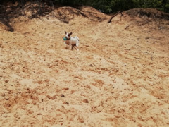 IMG 20180708 130406