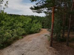 IMG 20180708 131725