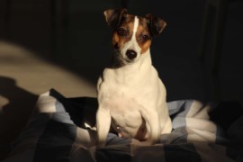IMG 0805 1