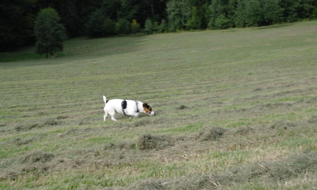  SAM0692