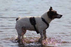 IMG 0449