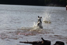 IMG 0452