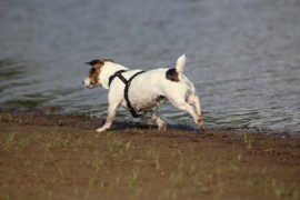IMG 0633