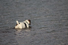 IMG 0657