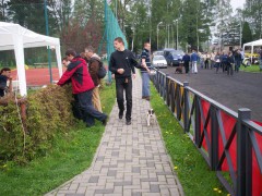 vici krosno 2010 180