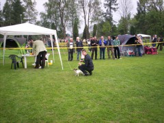vici krosno 2010 188