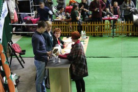 katowice sobota 2016 (1)