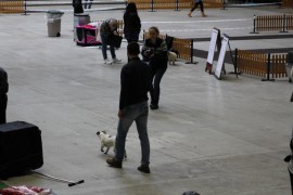 katowice sobota 2016 (15)