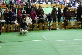 katowice sobota 2016 (18)