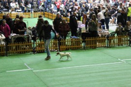 katowice sobota 2016 (19)