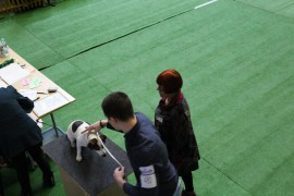 katowice sobota 2016 (20)