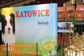katowice sobota 2016 (4)