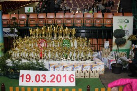 katowice sobota 2016 (6)